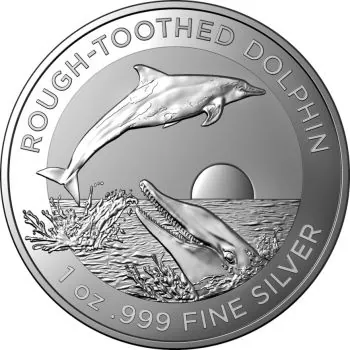 1 Unze Silbermünze Australien 2023 | Serie: Dolphin - Motiv: Rough - Toothed Dolphin